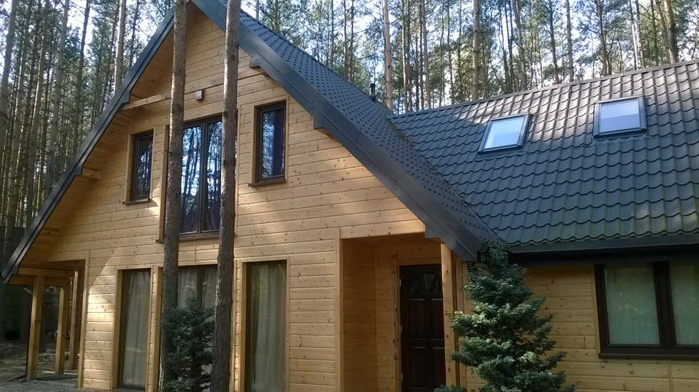Dom szkieletowy – Zofiówka