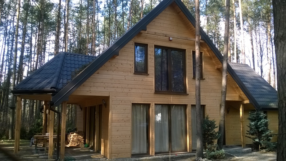 Dom szkieletowy – Zofiówka, detal